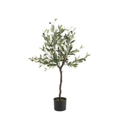 Drzewko oliwne 22011