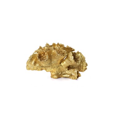 SAMOA CORAL GOLD Figura 