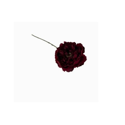 Kwiat sztuczny Piwonia pojedyncza 50cm burgund