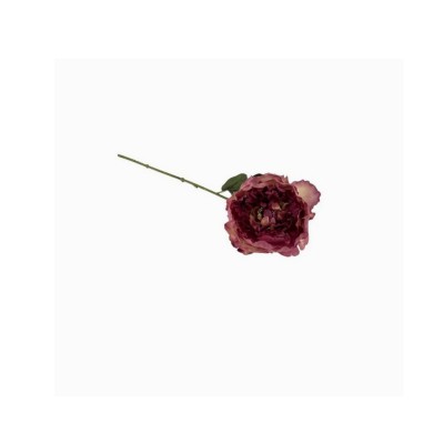 Kwiat sztuczny Piwonia pojedyncza 50cm bordo