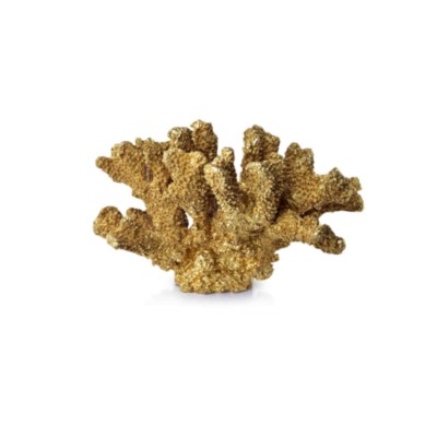 SAMOA CORAL GOLD Figura