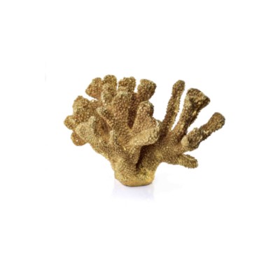 SAMOA CORAL GOLD Figura